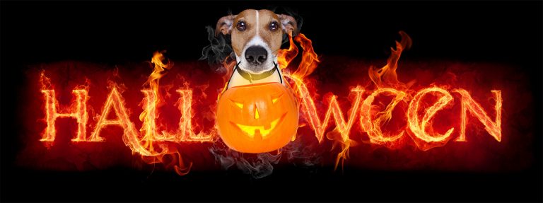 Halloween Halloween